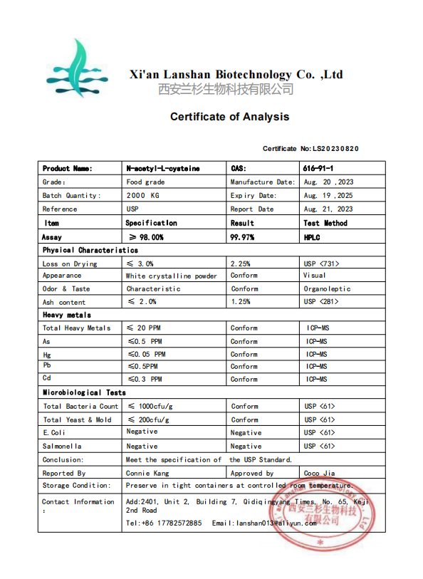 COA-N-acetylcysteine.png